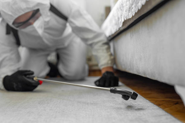 Professional Termite Control technician working in Mayo, MD