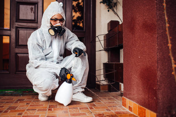 Reliable Termite Control contractor in Mayo, MD by Nex Pest Control